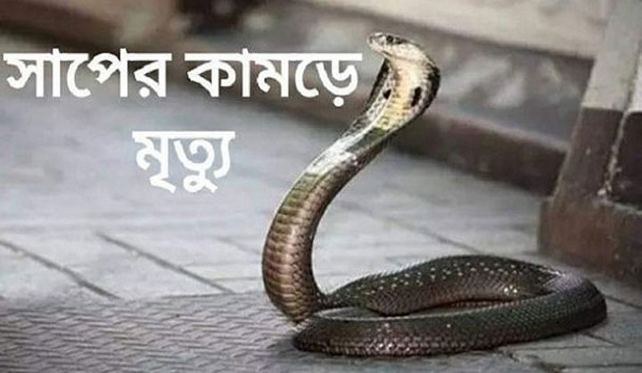 আড়াইহাজারে সাপের কামড়ে নারীর মৃত্যু